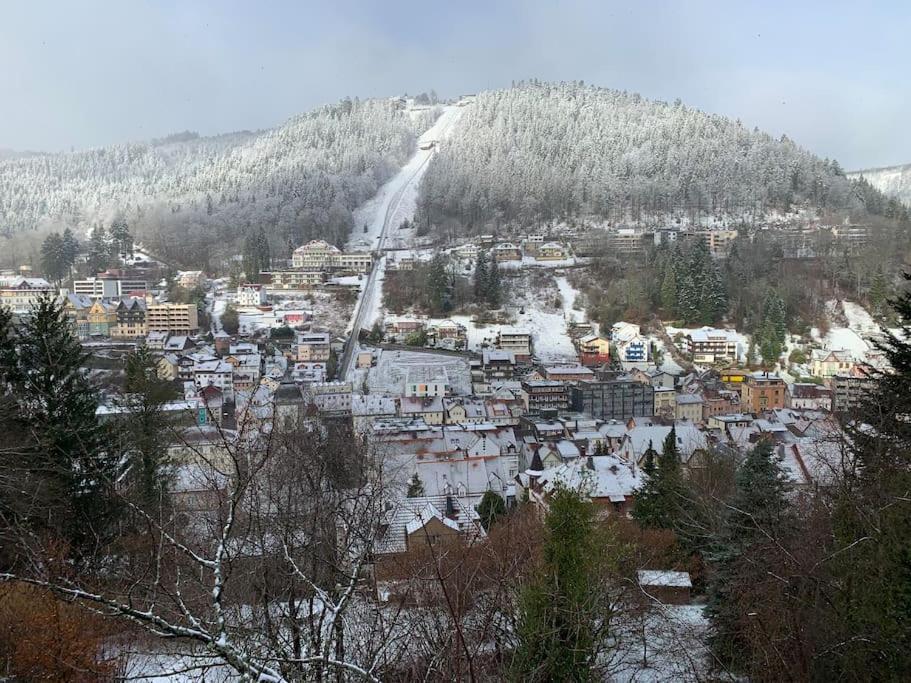 Gemuetliches Einzimmer-Apartment 33 Bad Wildbad Εξωτερικό φωτογραφία